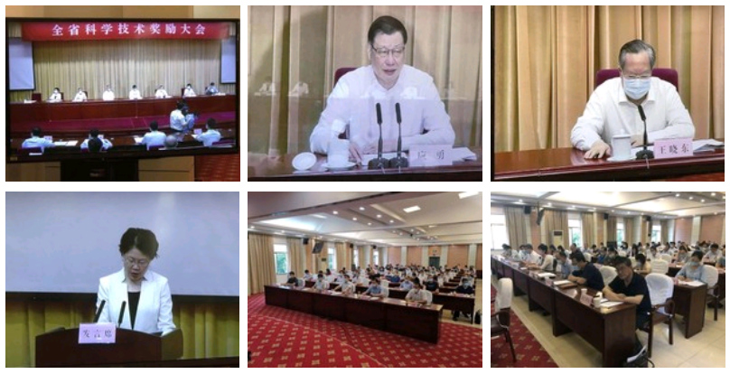 28ɷ޹˾ġЧ񶯵ϵлзӦáĿٻ2019ȺʡƼȽ